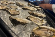 Oyster shells from New Orleans dining event aid Louisiana’s coastal restoration