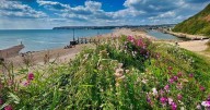 Discover Seaton: East Devon's independent business haven on UNESCO Jurassic Coast