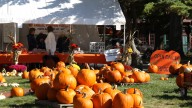 How Trinity Church turns thousands of pumpkins into community support