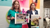 A ocho meses de la agresión contra 'Huesitos' en Puebla, presunto agresor aún no tiene sentencia
