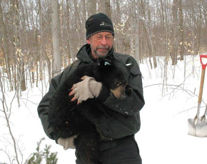 Unique Bruce Peninsula black bears focus of expert talk in Owen Sound