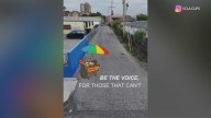 Artists highlight changes in Los Angeles neighborhoods following immigration raids
