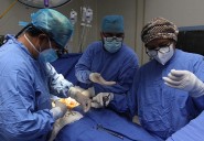 IMSS conmemora 62 años del primer trasplante renal en México con logro histórico: 4 mil 399 procedimientos realizados