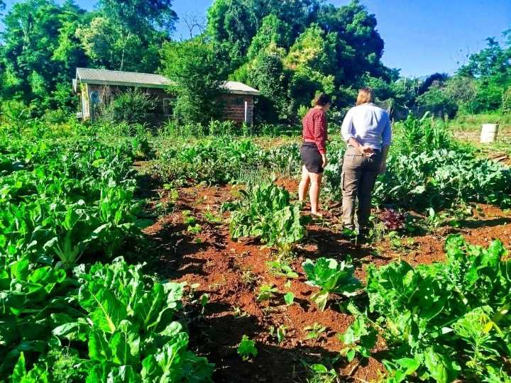 Se fortalece la producción hortícola en El Alcázar