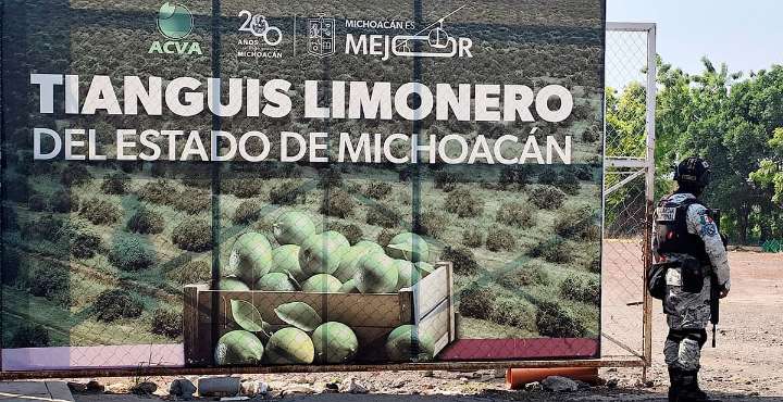 Gobierno de Michoacán abierto al diálogo con limoneros