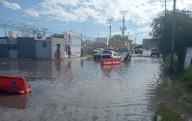 Se abre socavón en la Pedro Rosales de León; auto termina atrapado