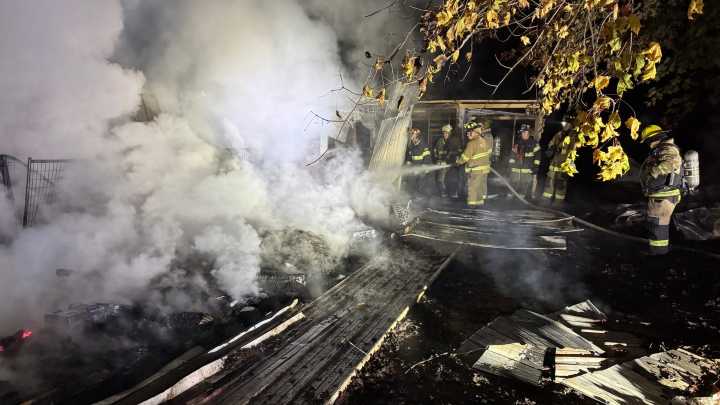 21 dogs, including puppies, killed after building burns in west Michigan