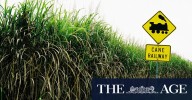 Australian biofuels industry: $1.1 billion investment aims to make Australia a renewable fuel leader