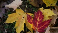 What to know about furnace maintenance during Michigan's fall