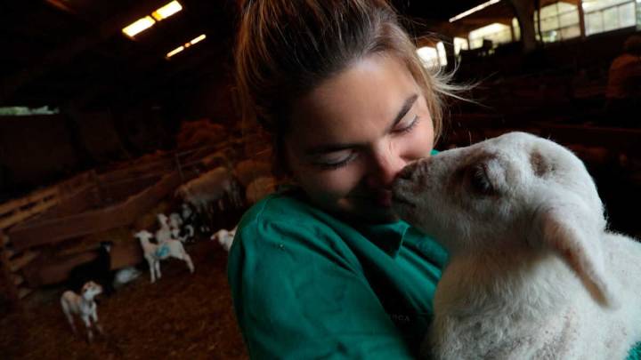 El programa de Aragón TV "El campo es nuestro" gana el Premio Ondas 2025