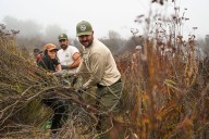 Volunteers work to restore Delhi Sands flower-loving fly’s Fontana habitat