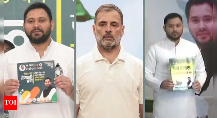 Bihar elections: Rahul Gandhi skips Mahagathbandhan presser; joint manifesto released in Patna