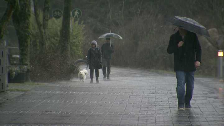 Powerful fall storm to hit B.C.’s South Coast