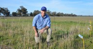 Improve farm, drought resilience by managing soil acidity