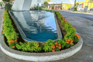 Municipio embellece la ciudad con más de 6 mil plantas de cempasúchil