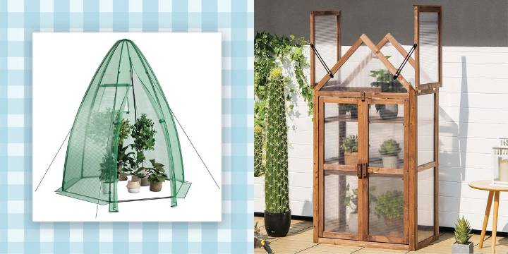 12 Mini Greenhouses From Amazon, Starting at $21