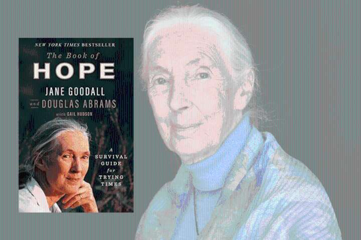 Who Was Jane Goodall? Jane Goodall Books, Classes, Barbies, Buy Online