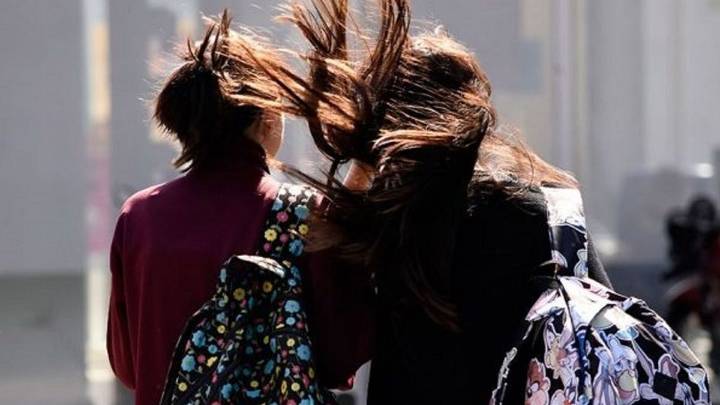 Fuertes ráfagas de viento sorprendieron a Santa Fe con registros que superaron los 50 km/h en algunas zonas