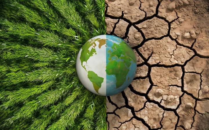 Developed nations fail to lead action against climate change