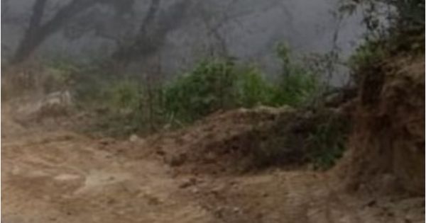 Final feliz en Salta: rescataron a una niña de 3 años que estaba perdida en el monte