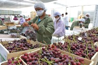 Mincetur: las exportaciones peruanas alcanzaron en agosto pasado valor histórico