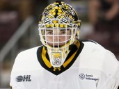 Sarnia Sting goalie Patrick Quinlan leads win over Windsor Spitfires