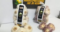 Agroexportadora Sol de Olmos invierte US$ 5 millones en nuevas plantas de procesamiento