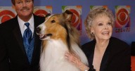 June Lockhart, beloved mother figure from 'Lassie' and 'Lost In Space,' dies at 100