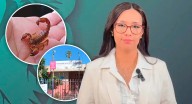 IMSS hará investigación interna sobre caso de muerte de menor tras picadura de alacrán y falta de antídoto en Hospital de Ginecopediatría en Hermosillo