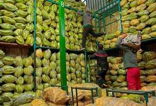 Abastecimiento de alimentos en Colombia crece 10,6 % en septiembre