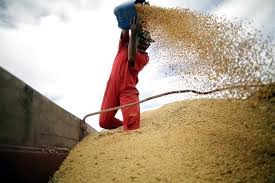 China no importó soya de Estados Unidos en Septiembre... por primera vez en siete años