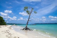 Cruise to Barren Island volcano from Port Blair soon; all details here