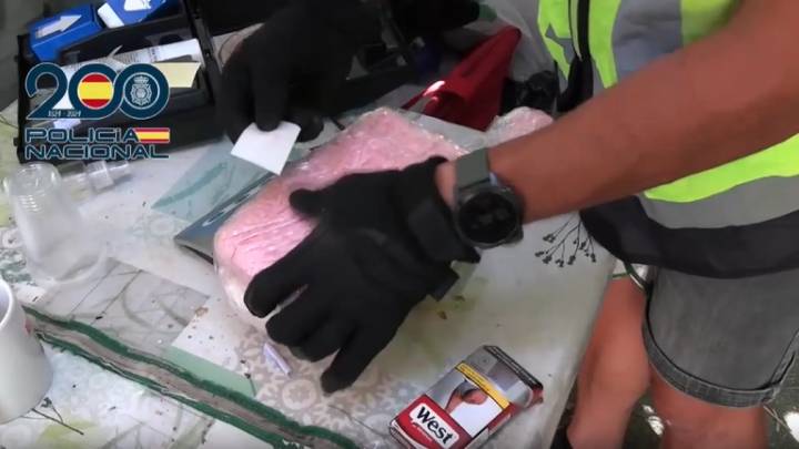 Desmantelada la primera plantación ilegal de opio en España con 83 detenidos
