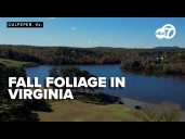 Stunning autumn views in Culpeper, Virginia