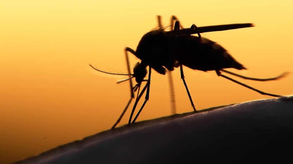 West Nile virus kills 3 in Missouri amid nationwide surge