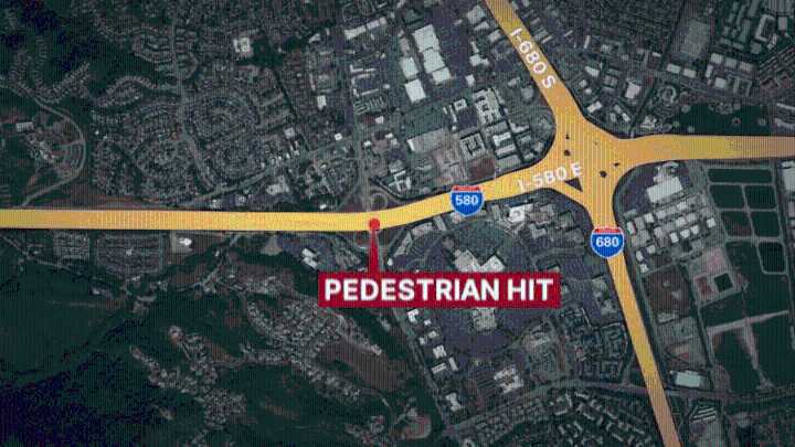 Pedestrian hit, killed on East Bay freeway