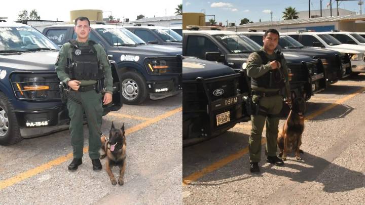 Entre la lealtad y el deber: Así es el vínculo de los binomios del Grupo K9 que salva vidas