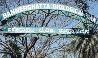 Bannerghatta Biological Park Launches ‘Zoo Club 2025’ to Nurture Young Wildlife Enthusiasts