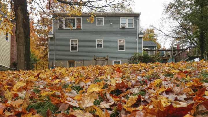 Leaf Blower Vs Lawn Sweeper: Which Tool Is Best For Cleaning Up Leaves