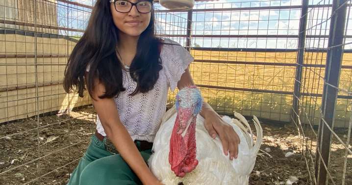 Jim Wells County Fair showcases young exhibitors' dedication to livestock care