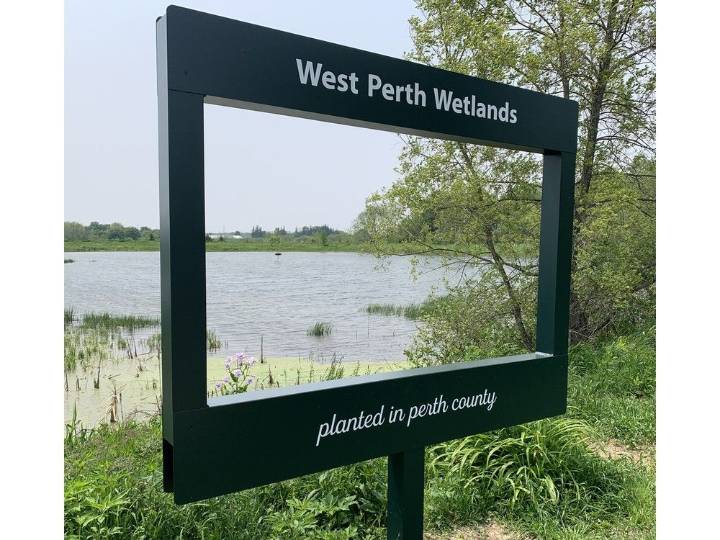 Mitchell wetlands reopen after bird flu confirmed in dead geese