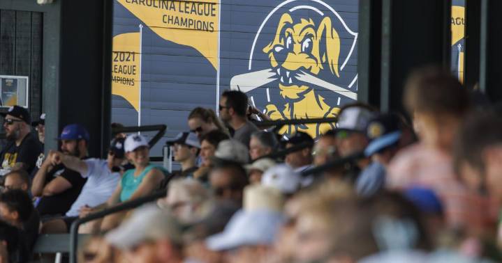 Charleston RiverDogs sue moving company over trademark