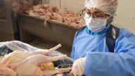 Los dueños de pollos El Bucanero logran entrar con carne fresca al exigente mercado japonés