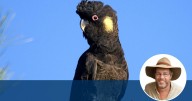 Tim the Yowie Man: I posted a photo that got me roasted on social media