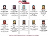 Los más buscados de la semana