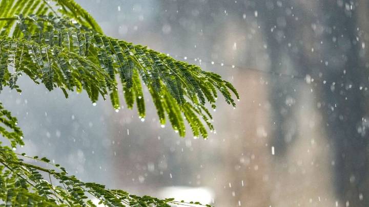 Odisha on alert as IMD forecasts heavy rainfall till October 5