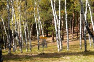 Beaver Ranch Park closed over infrastructure failure beneath main entry road