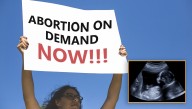 Data Suggests Democrats' Rhetoric May Be Inciting Violence Against The Unborn