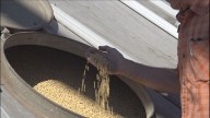 Tariffs impacting Louisiana soybean farmers, economic experts weigh in