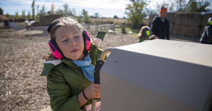 Tubbs Berry Farm is full of fun